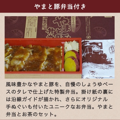 わたらせ渓谷鐵道「トロッコ列車の旅セット」 ※こども1名用【49】