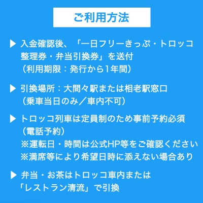 わたらせ渓谷鐵道「トロッコ列車の旅セット」 ※こども1名用【49】
