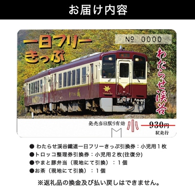 わたらせ渓谷鐵道「トロッコ列車の旅セット」 ※こども1名用【49】