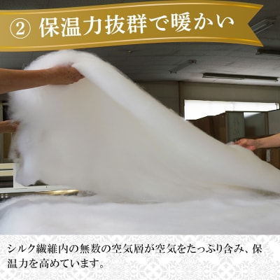 手洗いOK　群馬県産シルクわたの枕パット【153】