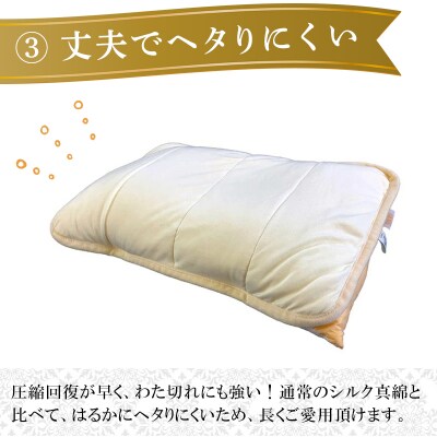 手洗いOK　群馬県産シルクわたの枕パット【153】