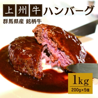 上州牛入りハンバーグ1kg(200g×5個)【172】