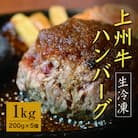 生冷凍 上州牛ハンバーグ 1kg(200g×5個)【193】