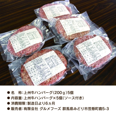 生冷凍 上州牛ハンバーグ 1kg(200g×5個)【193】