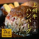 生冷凍 上州牛ハンバーグ 2kg(200g×10個)【194】 