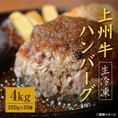 生冷凍 上州牛入りハンバーグ4kg(200g×20個)【195】