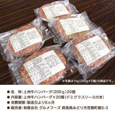 生冷凍 上州牛入りハンバーグ4kg(200g×20個)【195】