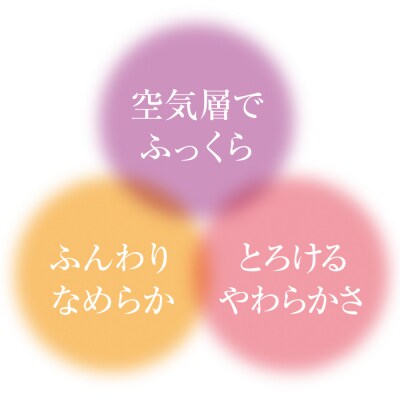 手洗いOK　とろけるふとん掛けカバー　【セミダブル】サイズ【292】