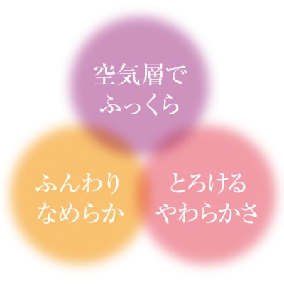 手洗いOK　とろけるふとん掛けカバー　【ダブル】サイズ【293】