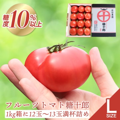 フルーツトマト糖十郎(Lサイズ)　2027年3月~5月中旬発送【a009】