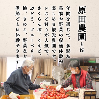 フルーツトマト糖十郎(Lサイズ)【a009】