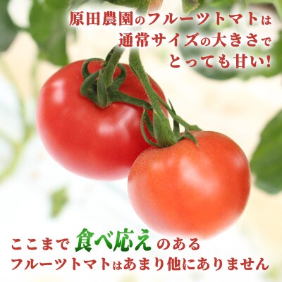 フルーツトマト糖十郎(Lサイズ)【a009】