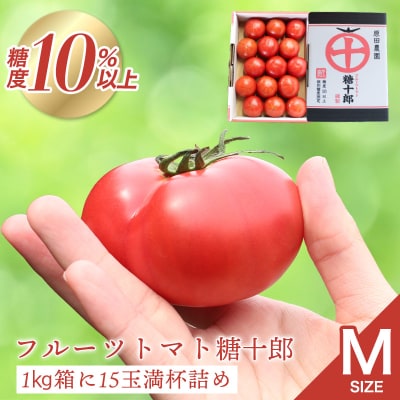 フルーツトマト糖十郎(Mサイズ)　2027年3月~5月中旬発送【a010】