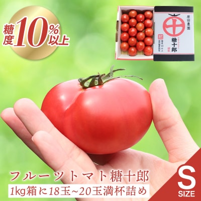 フルーツトマト糖十郎(Sサイズ) 　2027年3月~5月中旬発送【a011】
