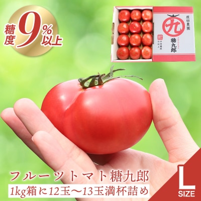 フルーツトマト糖九郎(Lサイズ) 　2027年3月~5月中旬発送【a012】