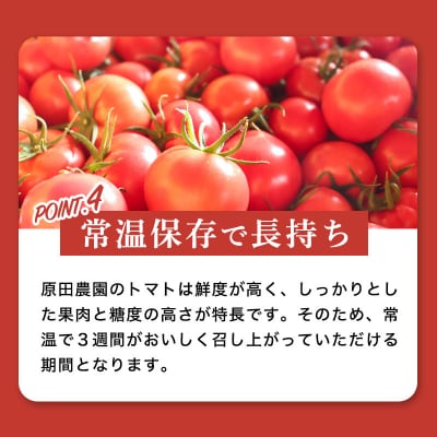 フルーツトマト糖九郎(Lサイズ) 　2027年3月~5月中旬発送【a012】