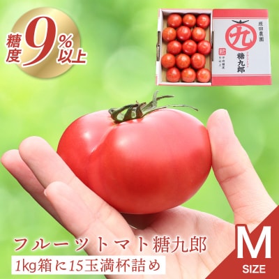 フルーツトマト糖九郎(Mサイズ)　2026年3月~5月中旬発送【a013】