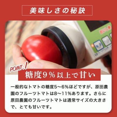 フルーツトマト糖九郎(Mサイズ)　2027年3月~5月中旬発送【a013】