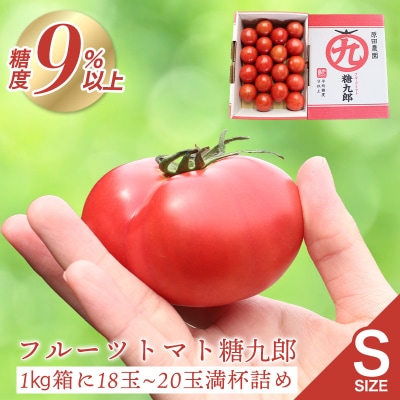 フルーツトマト糖九郎(Sサイズ) 　2026年3月~5月中旬発送【a014】