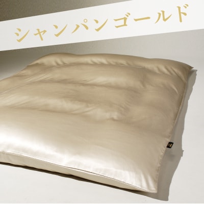「毎日シルクに包まれて眠りたい」手洗いOK　天然シルクの掛カバー【クィーン】【a087】