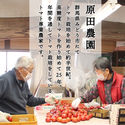 糖九郎　フルーツトマトのしずく【a139】