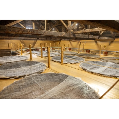 早起きは三文の【得】 まちなか散策【a127】