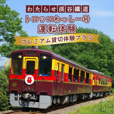 わたらせ渓谷鐵道 トロッコわっしー号運転体験 プレミアム貸切体験プラン【a221】
