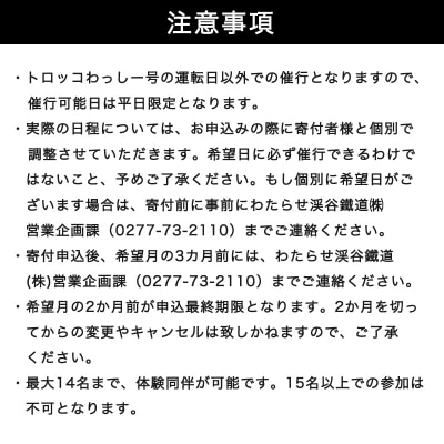 わたらせ渓谷鐵道 トロッコわっしー号運転体験 プレミアム貸切体験プラン【a221】