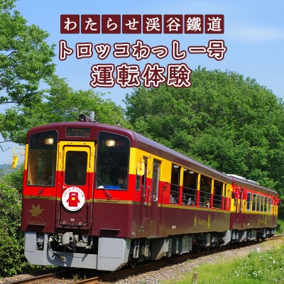 わたらせ渓谷鐵道 トロッコわっしー号運転体験【a222】
