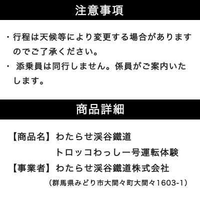 わたらせ渓谷鐵道 トロッコわっしー号運転体験【a222】