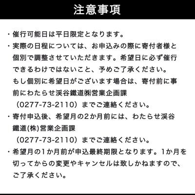 わたらせ渓谷鐵道プレゼンツ!「わ鐵のわっしー」と楽しむ特別グリーティングプラン【a224】