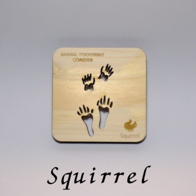 【1枚】森のコースター〈動物の足あと編〉【Squirrel(リス)】