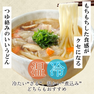 本吟膳上州半生うどん 12人前-つゆ付き