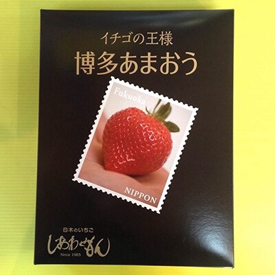 博多あまおう　400g