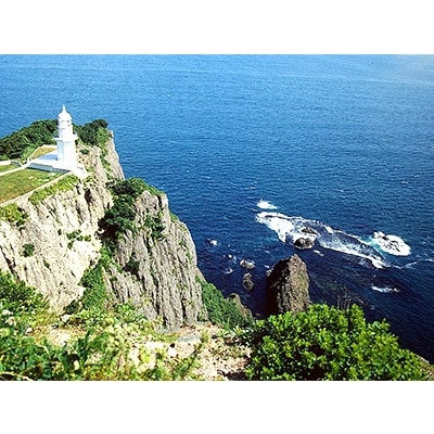地球岬遊覧　乗船ペアチケット