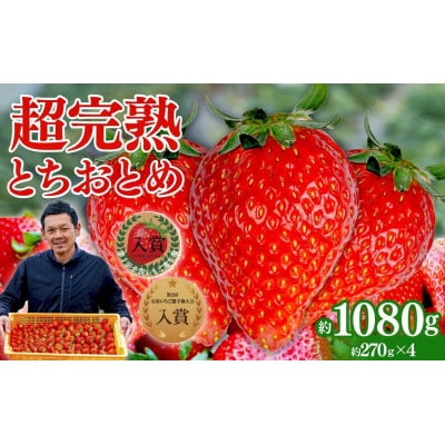【美土里農園】完熟とちおとめ レギュラーサイズ 約270g × 4パック 1080g