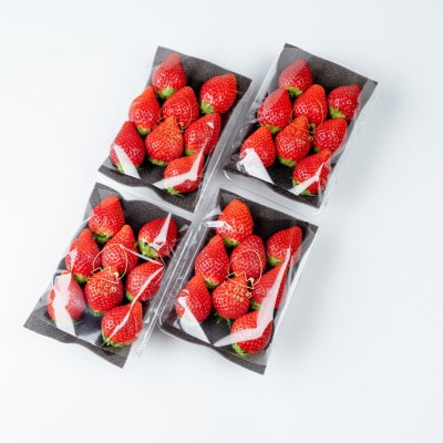 【美土里農園】完熟とちおとめ レギュラーサイズ 約270g × 4パック 1080g