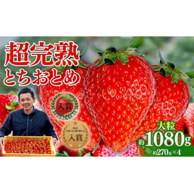 【美土里農園】完熟とちおとめ 大粒 約270g × 4パック 約1080g