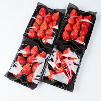 【美土里農園】完熟とちおとめ 大粒 約270g × 4パック 約1080g