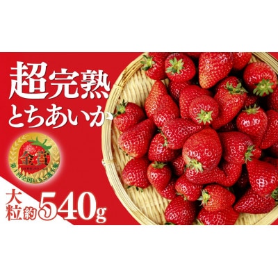 【美土里農園】完熟とちあいか 大粒 約270g × 2パック 約540g