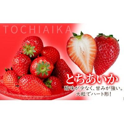 【美土里農園】完熟とちあいか 大粒 約270g × 2パック 約540g