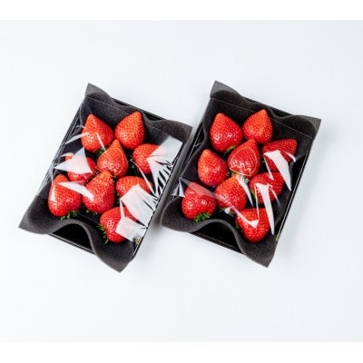 【美土里農園】完熟とちあいか 大粒 約270g × 2パック 約540g