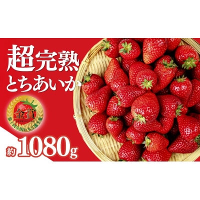 【美土里農園】完熟とちあいか レギュラーサイズ 約270g × 4パック 約1080g