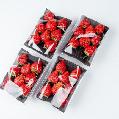 【美土里農園】完熟とちあいか レギュラーサイズ 約270g × 4パック 約1080g