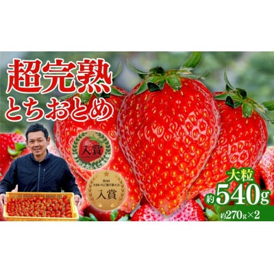 【美土里農園】完熟とちおとめ 大粒 約270g × 2パック 約540g