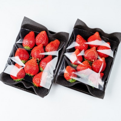 【美土里農園】完熟とちおとめ 大粒 約270g × 2パック 約540g