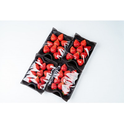 【美土里農園】完熟とちあいか 大粒 約270g × 4パック 約1080g