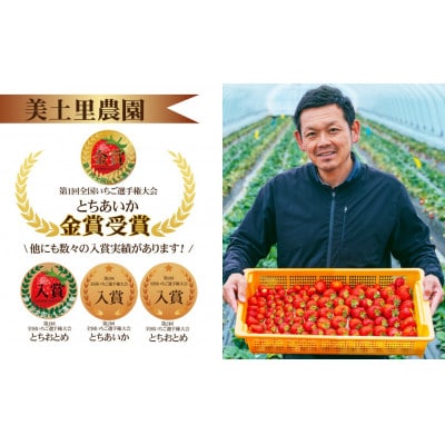 【美土里農園】完熟とちあいか 大粒 約270g × 4パック 約1080g