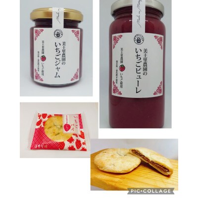 【美土里農園】朝採れ完熟とちあいかギフトとスイーツ詰合せセット