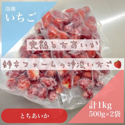 栃木県茂木町産　冷凍いちご　完熟とちあいか　500g×2
